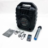 EARISE T26U Tragbares PA-System Bluetooth-Lautsprecher mit drahtlosem Mikrofon, Karaoke-Maschine mit ED-Leuchten, FM-Radio, Aufnahmefunktion, Fernbedienung, unterstützt TF-Karte/USB/AUX