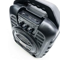 EARISE T26U Tragbares PA-System Bluetooth-Lautsprecher mit drahtlosem Mikrofon, Karaoke-Maschine mit ED-Leuchten, FM-Radio, Aufnahmefunktion, Fernbedienung, unterstützt TF-Karte/USB/AUX