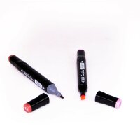 Set of 80 permanent double tip markers and carrying case
