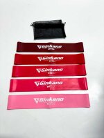 Haquno resistance tapes [5er set] Fitness band Theraband with? Extra instructions in German & supporting bag resistance bands gymnastics band made of natural latex for muscle building pilates yoga - red