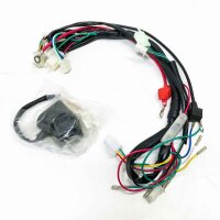 GOOFIT 50cc 125cc Volle Elektrik Kabelbaum Spule Gleichrichter CDI Ersatz für ATV Solenoid Zündkerze Quad Pitbike Dirtbike Buggy Go Kart Kits