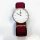 Daniel Wellington Classic Uhr 36 mm doppelt beschichteter Edelstahl (316L) Roségold