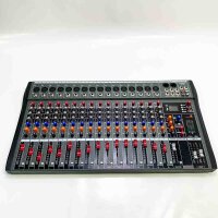 Weymic CK Pro Professional Audio Mixer for Recording DJ Stage Karaoke Music Application with USB BT Input (CK 16 Channel)