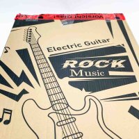 EastRock 39-Zoll-E-Gitarren-Set für Anfänger mit 10-W-Verstärker, Tasche, Kapodaster, Schultergurt, Saite, Kabel, Stimmgerät, Plektren (Silber)
