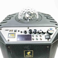 Wireless Professional Karaoke Equipment, TONOR Bluetooth PA System, Portable Speaker with Dual Wireless Microphones, Luminous Ball for Home Karaoke, Picnic and Parties at Home and Outdoor K20