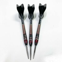 Target Darts Nathan 24G Schwarze Edition 95% Wolfram Swiss Point Steeldarts-Set Dartpfeile