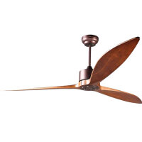 reiga 165cm DC Motor Modern Smart Ceiling Fan (with...