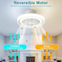 EcoFlow RIVER mini Wireless Tragbare Powerstation, EFR420, 210Wh, 300W (surge 600), 230V, 50/60Hz)