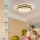 Sky angle ceiling lamp with remote control, LED ceiling light dimmable 4000LM 48W, modern living room lamp 3000-6000K, ceiling lamp LED for living room, bedroom, kitchen, balcony, gray