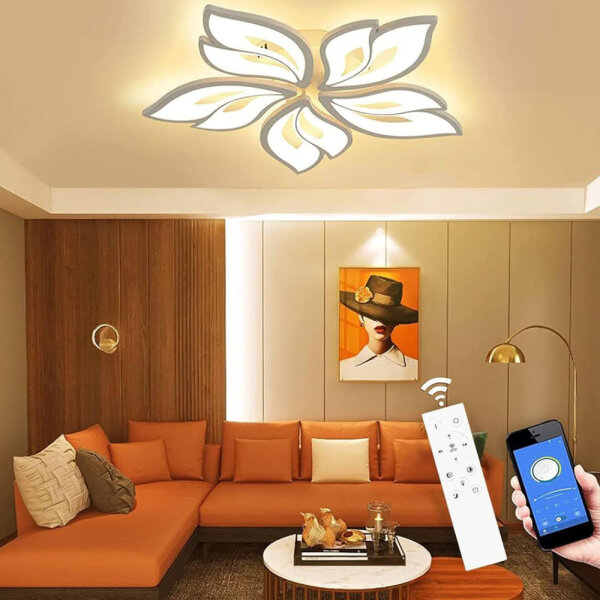 LED Ceiling Light Dimmable, 40W-80W Ceiling Lamp LED Living Room Lamp with Remote Control APP Color Changing - Modern Living Room Lamp Ceiling Light Energy Saving Dimming Ceiling Lighting Bedroom Lamp