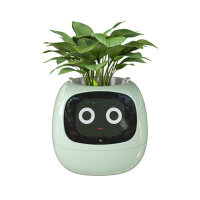 Masdio Smart Flowerpots, with Artificial Intelligence, Time-Temperature Display and Numerous Expressive Animations Based on the Environment, for Interior Decoration (Green)