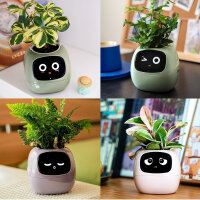 Masdio Smart Flowerpots, with Artificial Intelligence, Time-Temperature Display and Numerous Expressive Animations Based on the Environment, for Interior Decoration (Green)