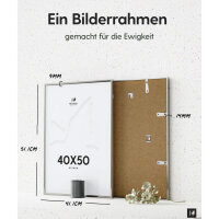 Heimlich® 1x Bilderrahmen 40x50 cm Silber Champagne Metall Rahmen 1-Pack | Dokumentenrahmen 40x50 cm Groß Collage | Metallrahmen Alu-Bilderrahmen Aluminium | Picture Frame 40x50 Fotorahmen