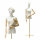 HIYOUGO Mannequin (with minor damage) Female tailors dummy, tailors bust with adjustable height, womens bust, mannequin, mannequin, torso, female bust, dress, display stand (colour: C)