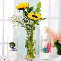 Hewory Cylinder Vase Glass Flower Vase Set of 24 Vases Lantern Glass Candle Holders for Pillar Candles Floating Candles, Clear Glass Vase Glass Cylinder with Base for Wedding Table Decoration Living Room Decoration, 10/15/20cm