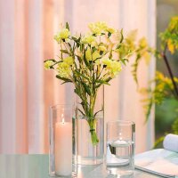 Hewory Cylinder Vase Glass Flower Vase Set of 24 Vases Lantern Glass Candle Holders for Pillar Candles Floating Candles, Clear Glass Vase Glass Cylinder with Base for Wedding Table Decoration Living Room Decoration, 10/15/20cm
