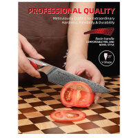 SANMUZUO 13CM utility knife, LA-S9, kitchen knife, ultra-sharp VG-10 damascus steel, ergonomic red resin handle, ideal for fruits and vegetables.