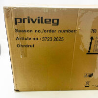 PRIVILEG SY-103E6S-E11-C55-L52-600 head-free hood minimal dent, modern technology, efficient exhaust air, elegant design.