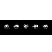 HANSEATIC SY-103A6-P1-C59-L122-600 headroom hood, energy-efficient, elegant design, powerful, quiet operation