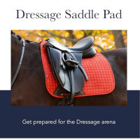 LeMieux Carbon Mesh Dressage Saddle Pad L Sage, bamboo lining, sweat-wicking, comfortable, friction-free, large saddle pad