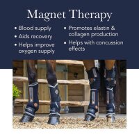 LeMieux (L) Leitfähige Magno Sprunggamasche, Schwarz, zur Muskelstimulation, atmungsaktiv, komfortabel.