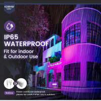 KSIBNW LED Neon Strip 5m RGBIC LED Streifen IP65...