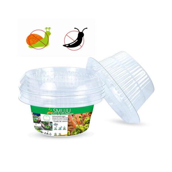 SMUJU protection against snails, Ø 24 cm, transparent, 6 parts, ideal for lettuce and cabbage plants, protects against animal damage.