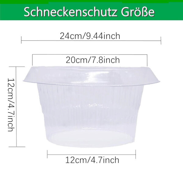 SMUJU Schutz vor Schnecken, Ø 24 cm, transparent, 6 Teile, ideal für Salat- und Kohlpflanzen, schützt vor tierischen Schäden.