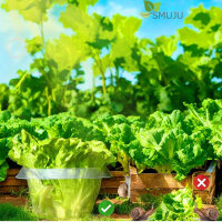 SMUJU protection against snails, Ø 24 cm, transparent, 6 parts, ideal for lettuce and cabbage plants, protects against animal damage.