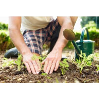VIALCA Jolly Pellet, 4L, Naturprodukt, biologisch zugelassen, luftbefeuchtete organische Substanz, ideal für die Landwirtschaft.