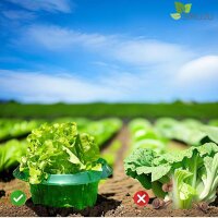 SMUJU, Ø 24 cm, Schneckenschutz, 25 Teile, grün, schützt Salat und Kohl vor Tierschäden, anti-Leuchten.