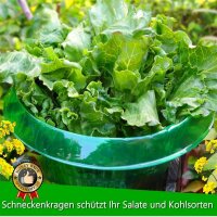 SMUJU 20 Teile Schutzkragen für Pflanzen, Ø 24 cm, grün, schützt Salat und Kohl vor Schnecken und Tierschäden.
