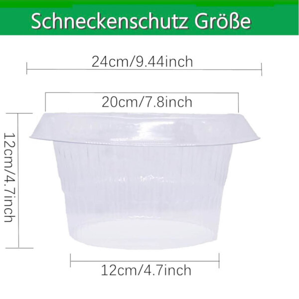 SMUJU Schneckenkragen, Ø 24 cm, Schneckenschutzringe, transparent, schützt Salat und Kohl vor Schnecken.