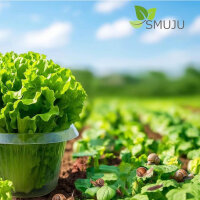 SMUJU Schneckenkragen, Ø 24 cm,...