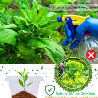 SMUJU snail collar, Ø 24 cm, snail protection rings, transparent, protects lettuce and cabbage from snails.