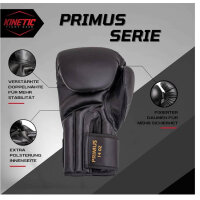 Kinetic Boxhandschuhe 10oz, Training, Boxen, Kickboxen,...