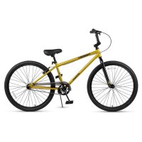 AVASTA 26 Zoll BMX, Freestyle, Farbe Trident, für Anfänger & Fortgeschrittene, 2 Pegs, ideal für Tricks und Profi-Riding.