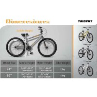 AVASTA 26 Zoll BMX, Freestyle, Farbe Trident, für Anfänger & Fortgeschrittene, 2 Pegs, ideal für Tricks und Profi-Riding.