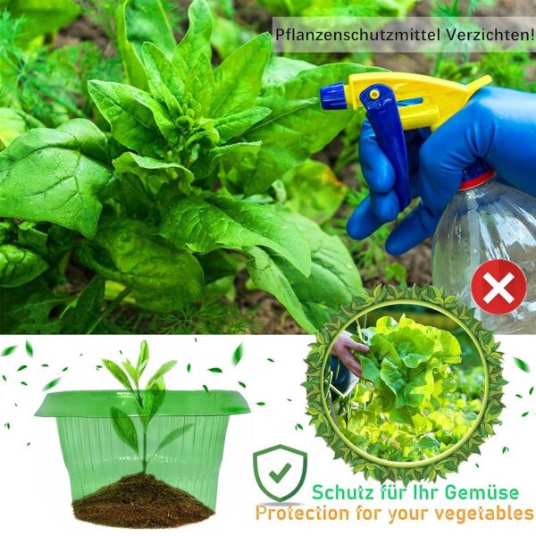SMUJU 12 pieces, protective collar, anti-snail, Ø 24 cm, green, protects lettuce and cabbage plants from animal damage.