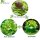 SMUJU 12 pieces, protective collar, anti-snail, Ø 24 cm, green, protects lettuce and cabbage plants from animal damage.