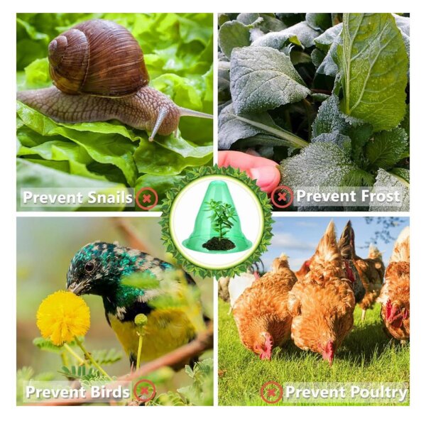 20 large reusable plant cloches, 24x27 cm, protection against snails and frost, ideal for growing vegetables.