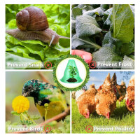 20 große wiederverwendbare Glocken für Pflanzen, 24x27 cm, Schutz vor Schnecken und Frost, ideal für Gemüseanbau.