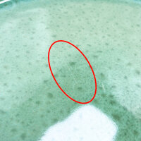 Pure Living 24-piece dinnerware set, black/sage green, for 6 people, including bowls and plates, with scratches.