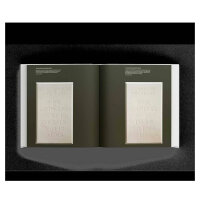 Ian Hamilton Finlay, Buch, Englisch, 236 Seiten, poetische Kunst, Natur, Sprache, visuelle Poesie, zeitgenössische Literatur.