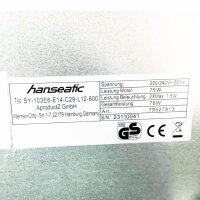 Hanseatic SY-103E6-E14-C29-L12-600, headroom hood, 600 mm, energy-efficient, modern LED lighting, powerful extractor.