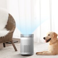 HANSEATIC KJ250, Luftreiniger, 22W, effektives Filtersystem für Allergiker, Ionentechnologie für saubere Luft.