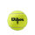 Wilson Roland Garros All Court, Unisex, Tennisbälle, 3x4er Pack, vielseitig, ideal für alle Plätze, optimale Spielkontrolle.