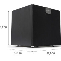 VULKKANO SUB10, Subwoofer, Aktiv, 10 Zoll, Frequenzbereich: 40 Hz-200 Hz, kraftvoller Bass für beeindruckenden Sound.