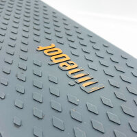 Ninebot by Segway KickScooter F2 Plus D, E-Scooter, max. 20 km/h, 55 km Reichweite, 400 Watt, 2 Bremsen, Straßenzulassung, mit Kratzern.