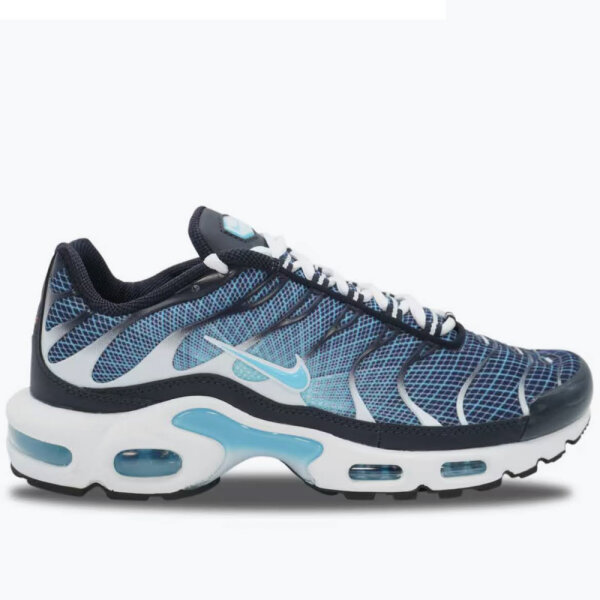 Nike Air Max Plus TN, EUR 41, sports shoe, breathable upper, cushioning, stylish design, comfortable.